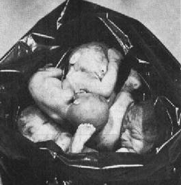 Dead Unborn Babies - Unborn Child Amendment .jpg